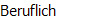 Beruflich